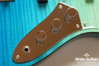 WL4-FM CustomIII - BLU-GRD-MH